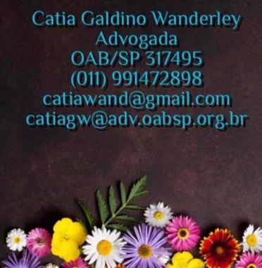 Catia Galdino Wanderley - Advogada